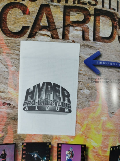 Hyper Pro Wrestling  Album 5 Michinoku Pro Wrestling 