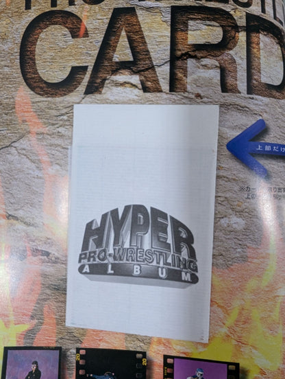 Hyper Pro Wrestling  Album 5 Michinoku Pro Wrestling 