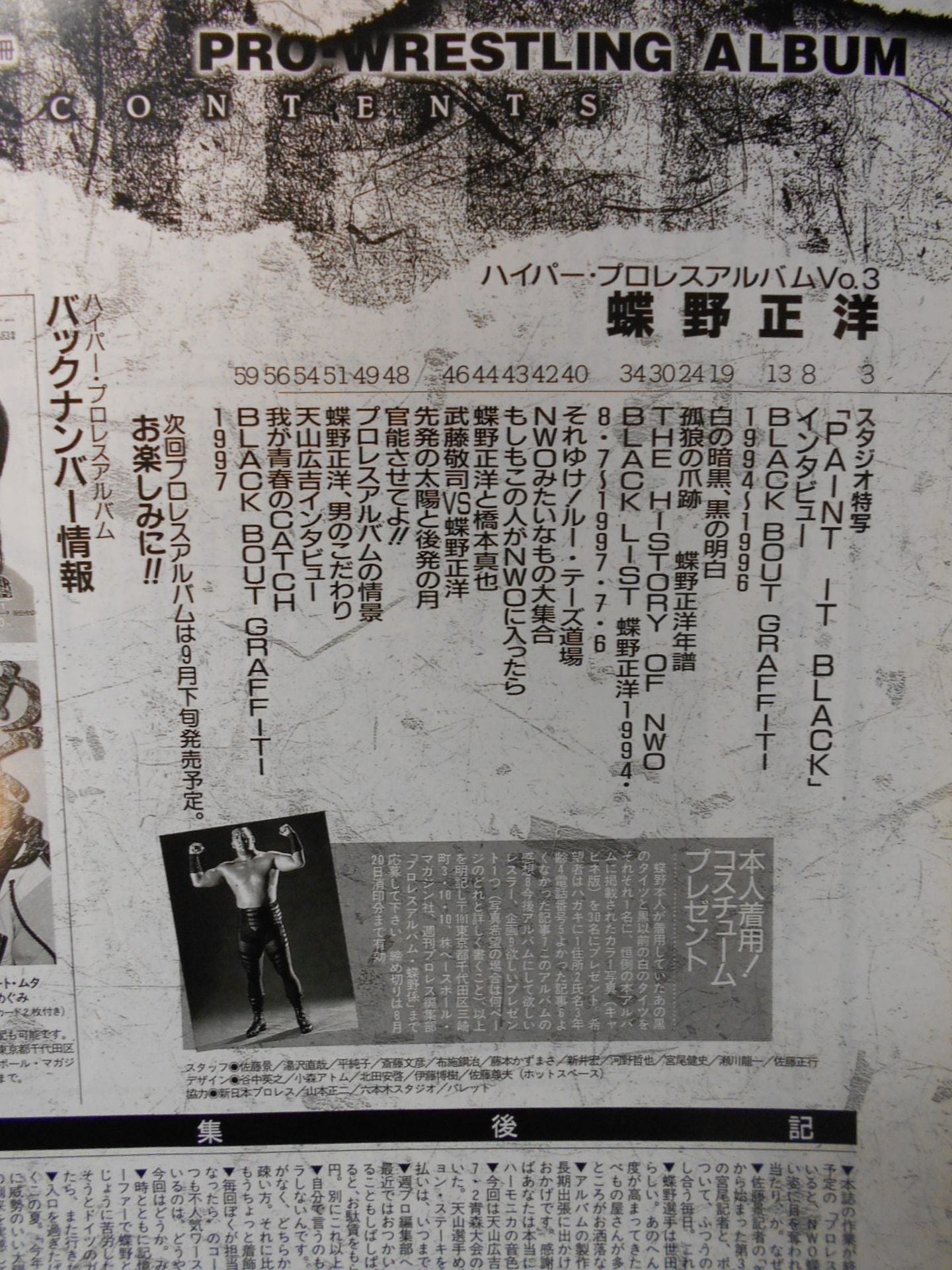 ハイパープロレスアルバム3 蝶野正洋