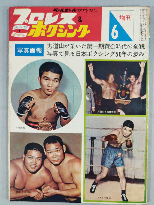 Pro Wrestling  & Boxing 1964/06 Special Issue