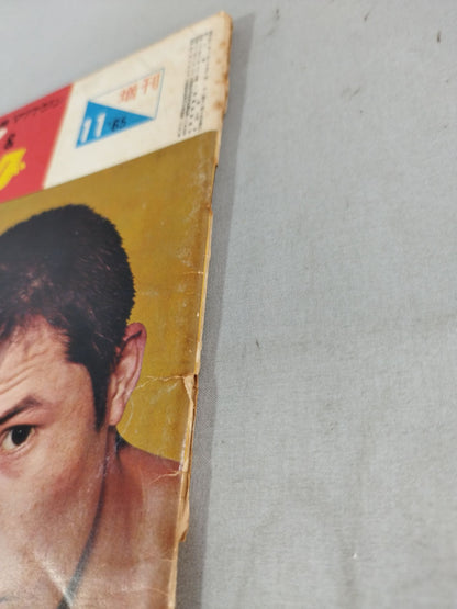 プロレス&ボクシング 1965年11月号増刊