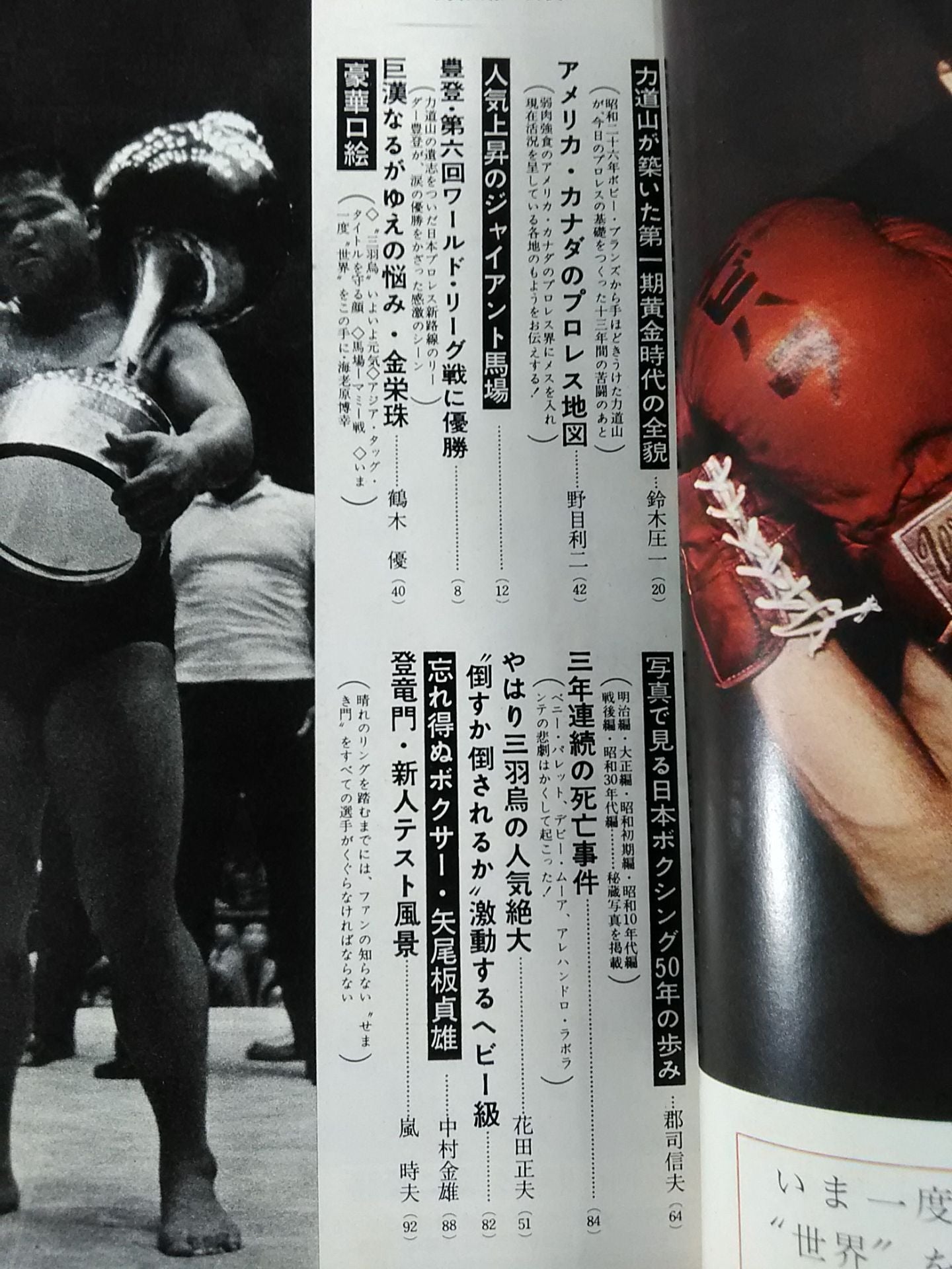 Pro Wrestling  & Boxing 1964/06 Special Issue