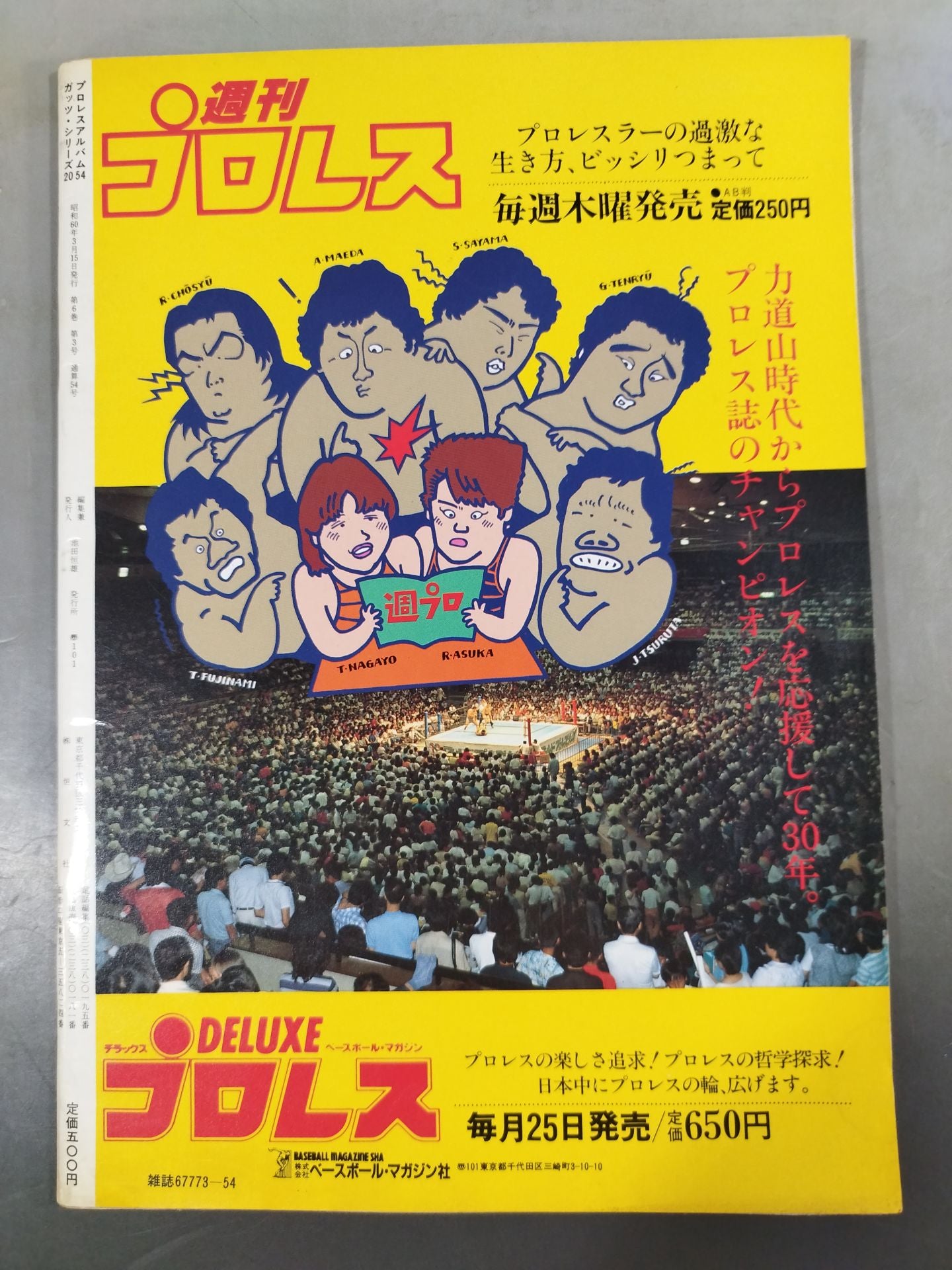 Pro Wrestling  Album 54 Sortie! Riki Choshu  Corps