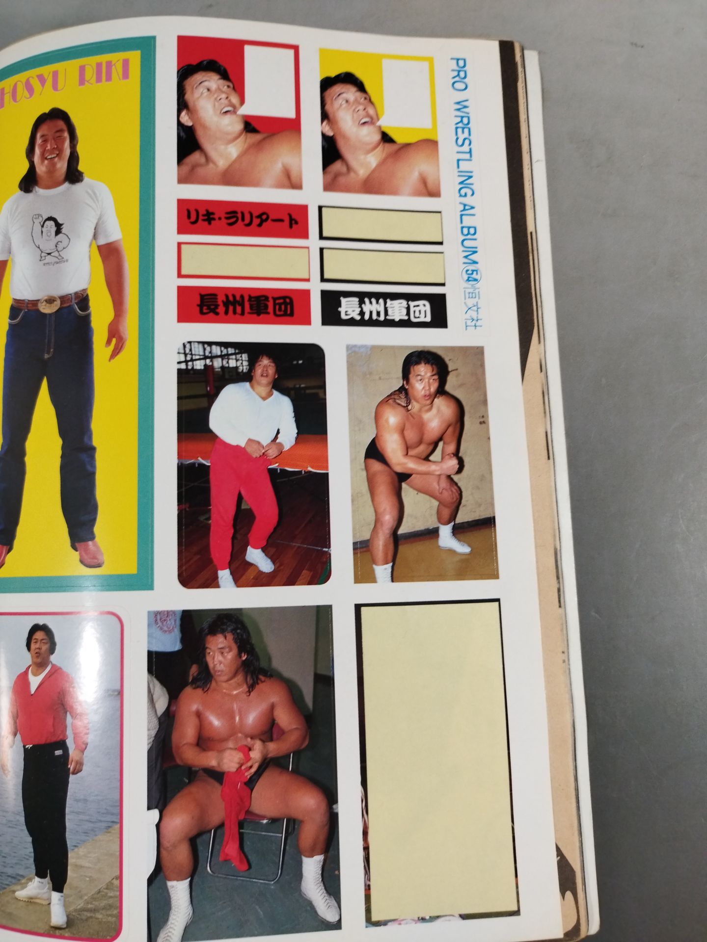 Pro Wrestling  Album 54 Sortie! Riki Choshu  Corps