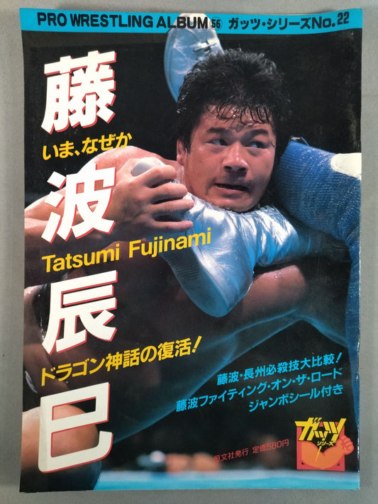 Pro Wrestling  Album 56 Now, WhyTatsumi Fujinami 