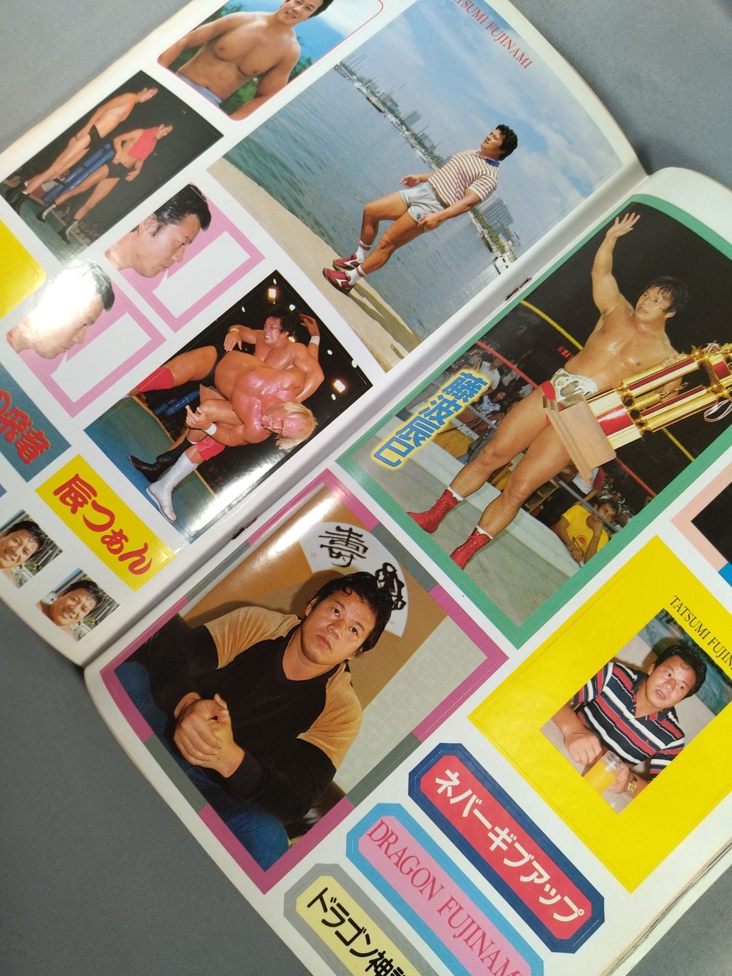 Pro Wrestling  Album 56 Now, WhyTatsumi Fujinami 