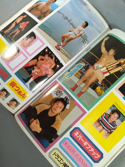 Pro Wrestling  Album 56 Now, WhyTatsumi Fujinami 