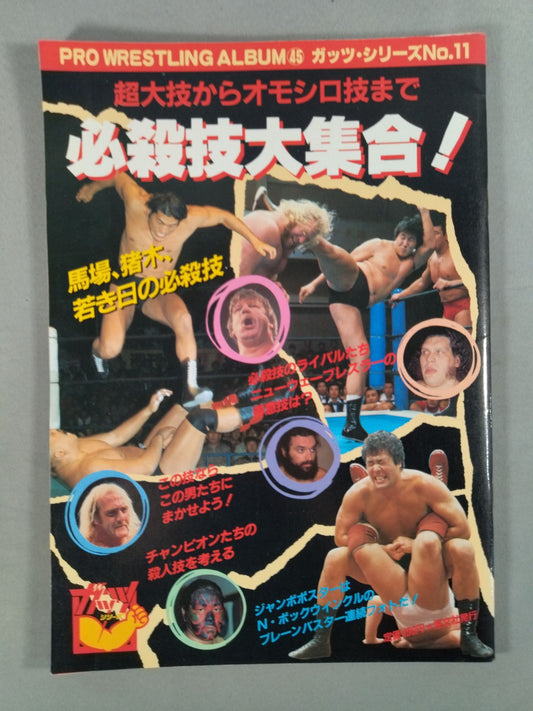 Pro Wrestling  Album 45 Special Moves