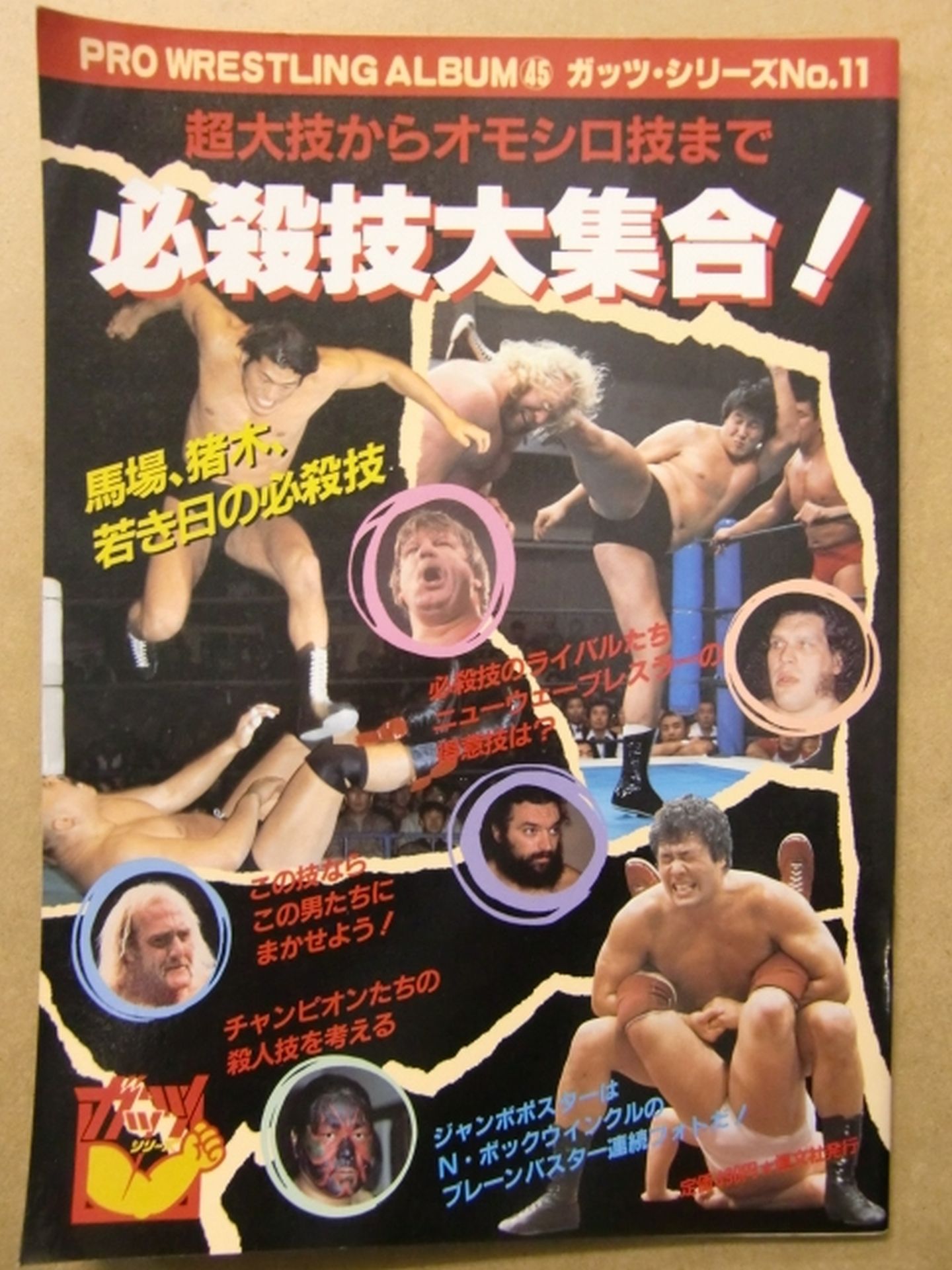 プロレスアルバム45 必殺技大集合