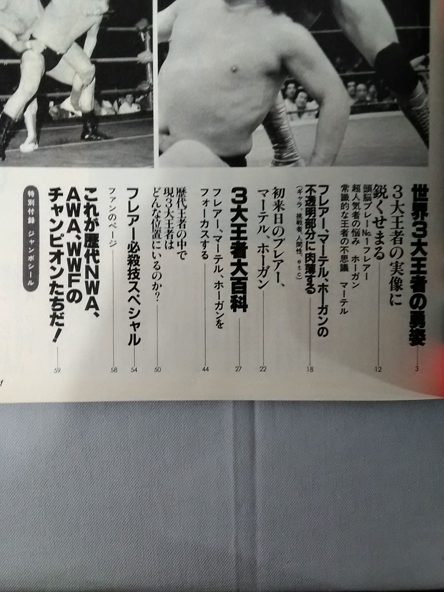 Pro Wrestling  Album 47 Champions