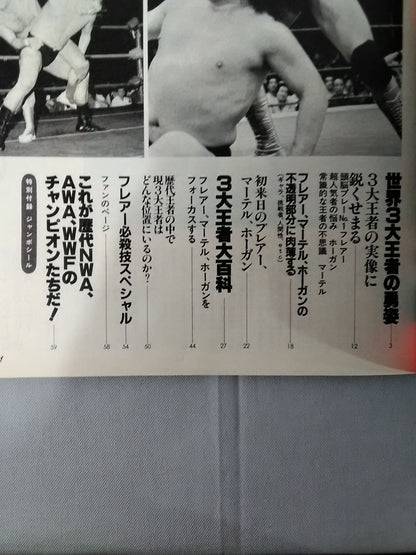 Pro Wrestling  Album 47 Champions