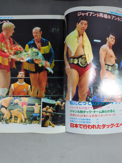 Pro Wrestling  Album 22 Best Tag Team in the World