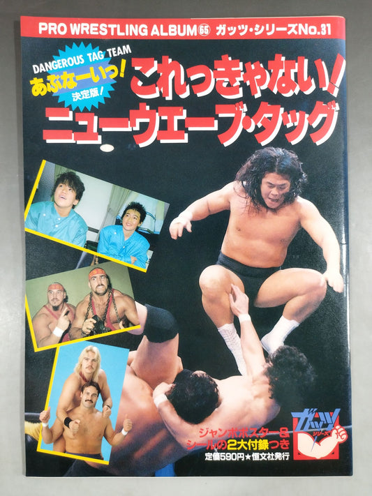 Pro Wrestling  Album 65 New Wave Tag Team