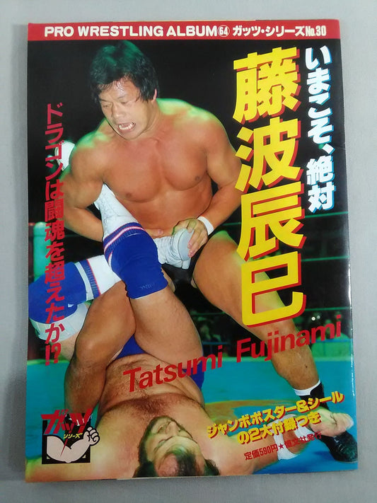 Pro Wrestling  Album 64 Now is the timeTatsumi Fujinami 