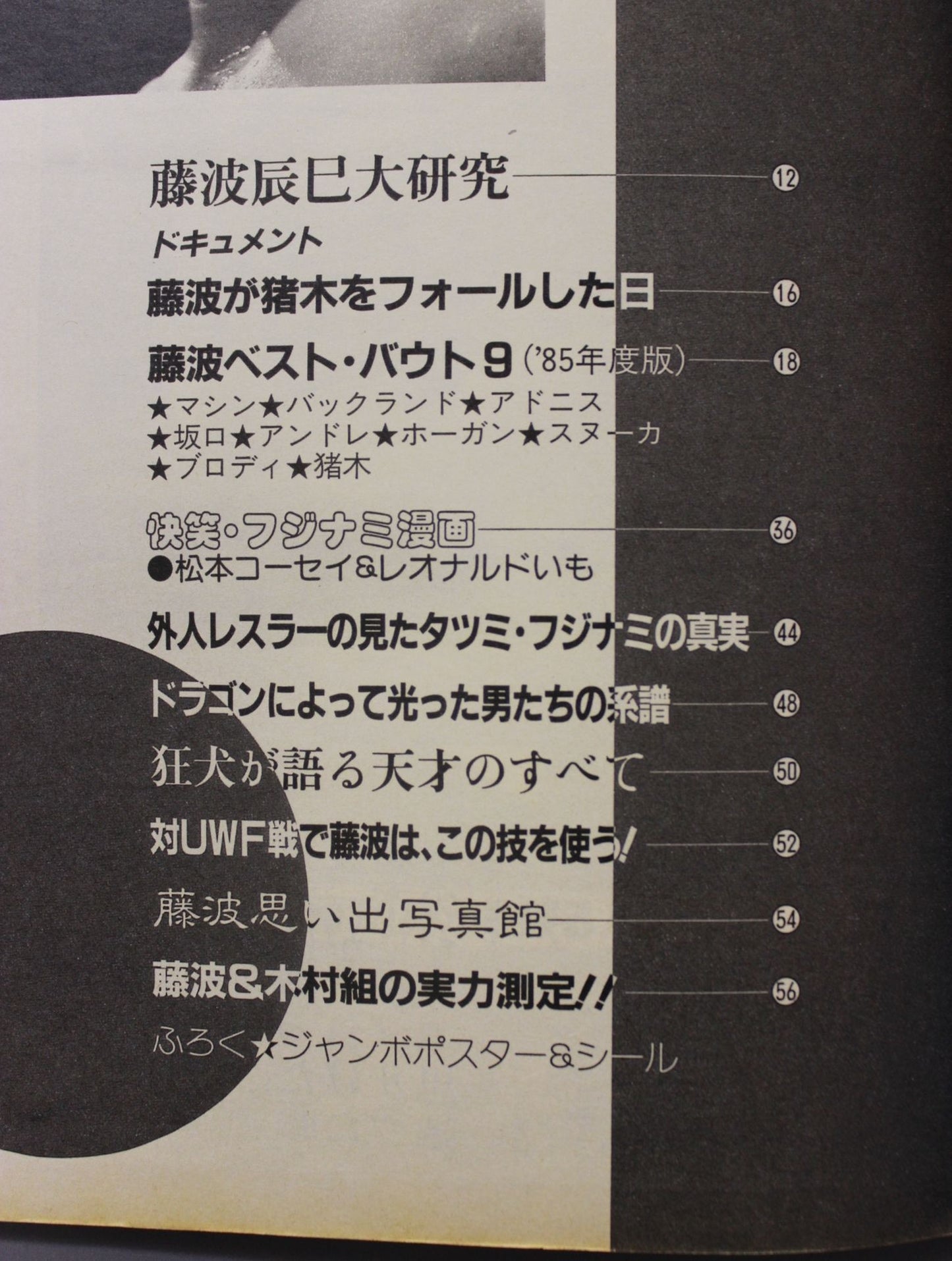Pro Wrestling  Album 64 Now is the timeTatsumi Fujinami 