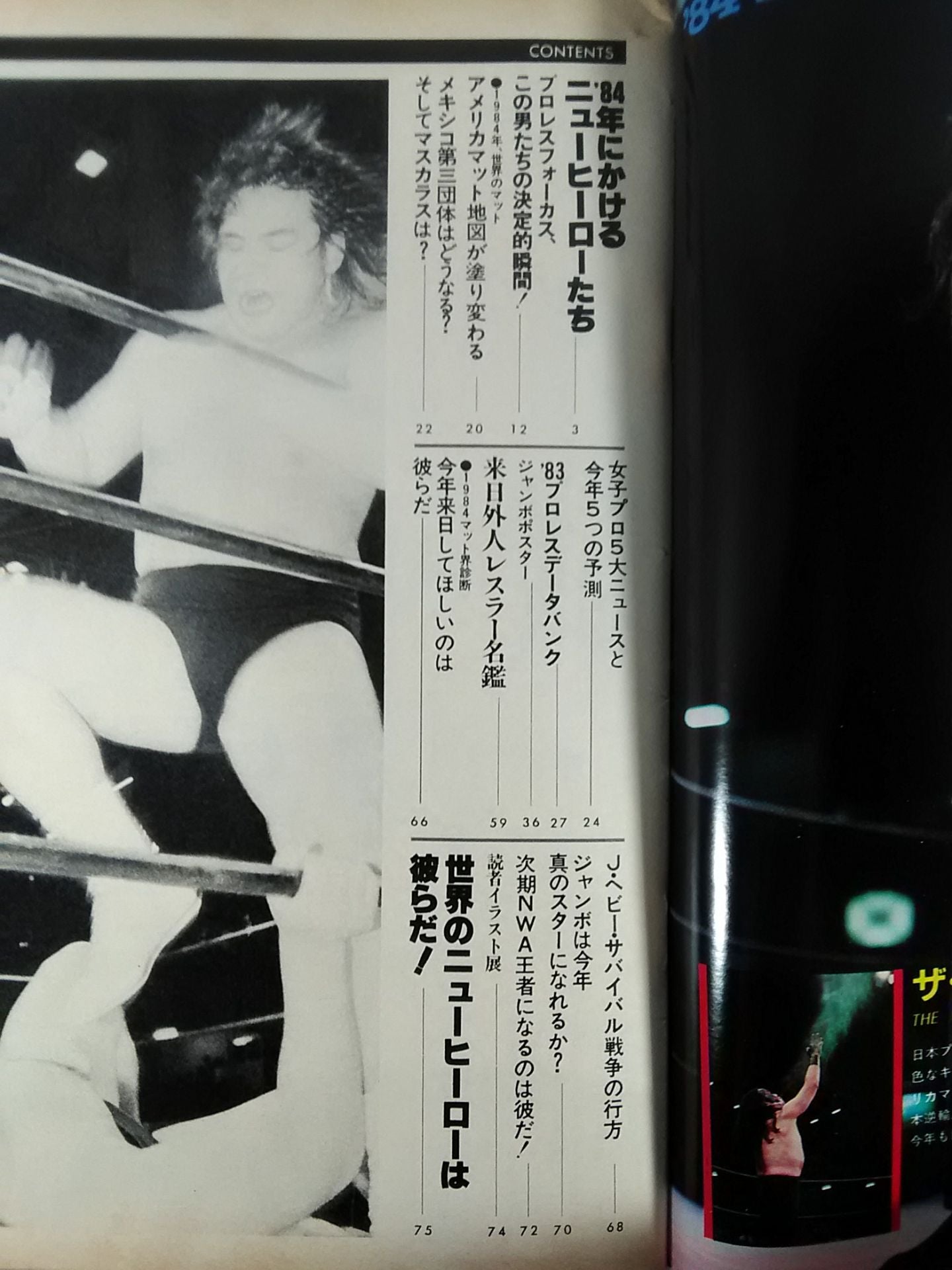 Pro Wrestling  album 41 Pro WrestlingYear's Book 1984