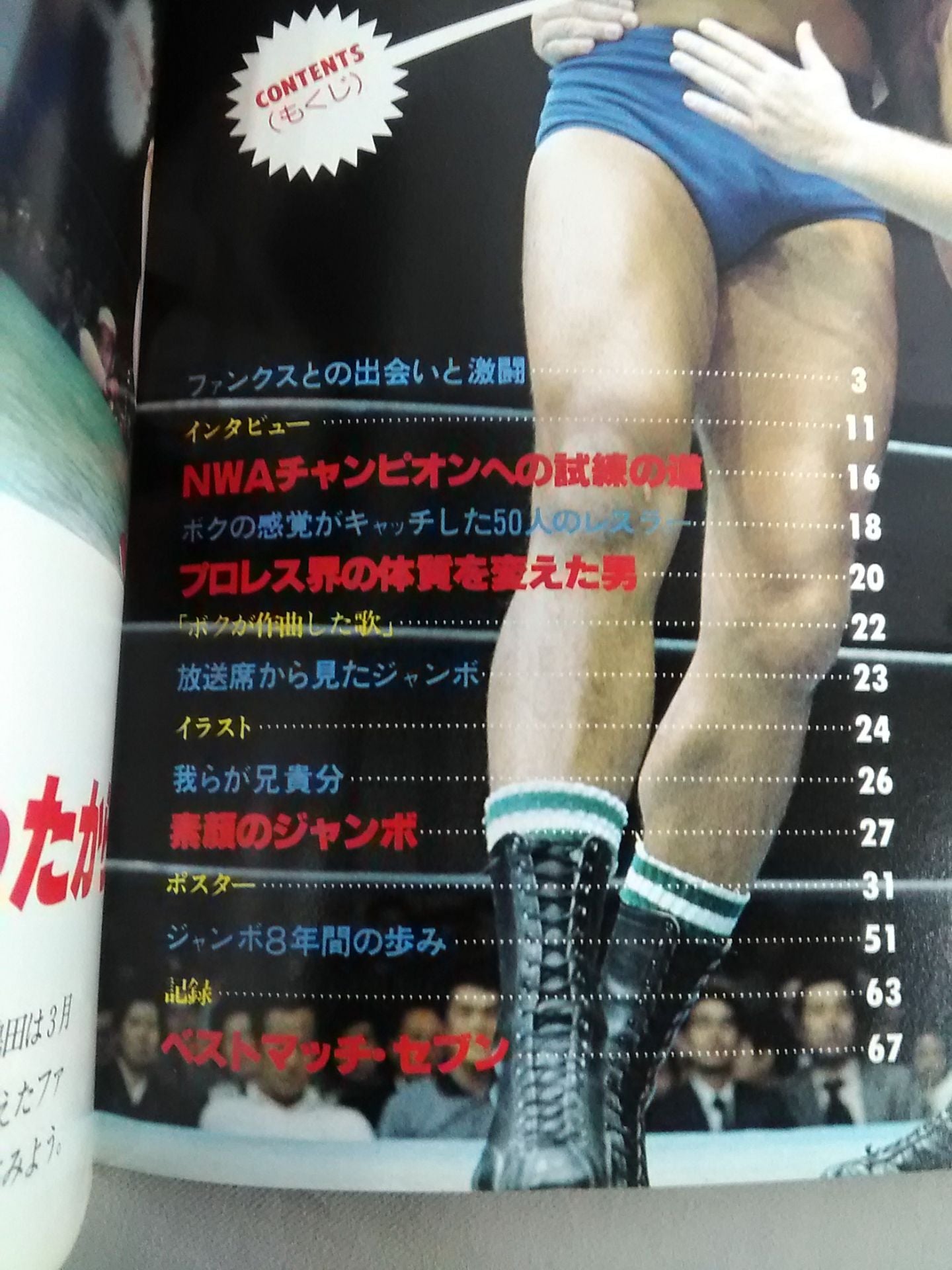 Pro Wrestling  Album 10 Jumbo Tsuruta
