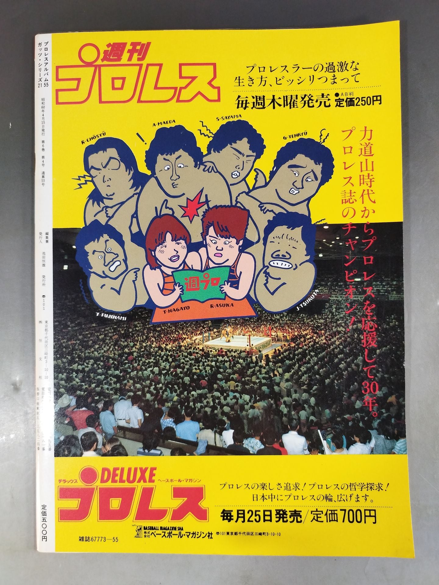 Pro Wrestling  Album 55 Super Tag Team NOW!