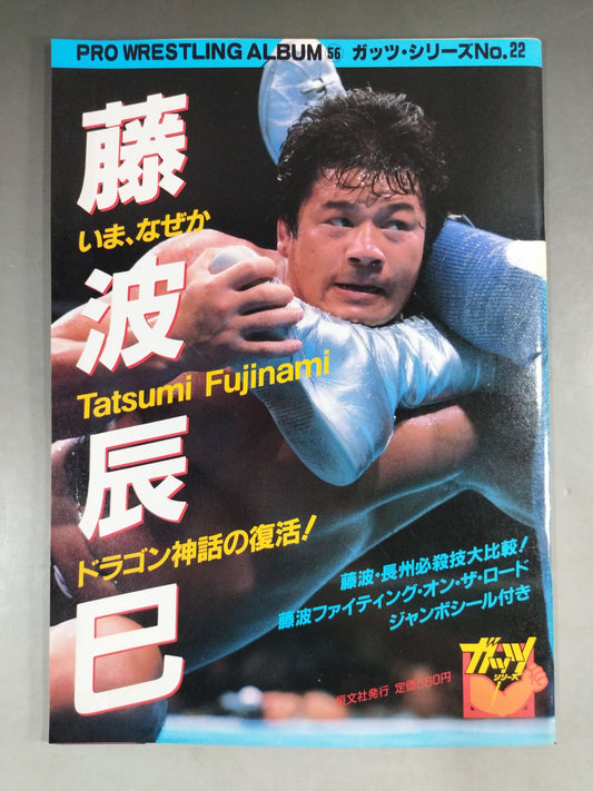 Pro Wrestling  Album 56 Now, WhyTatsumi Fujinami 