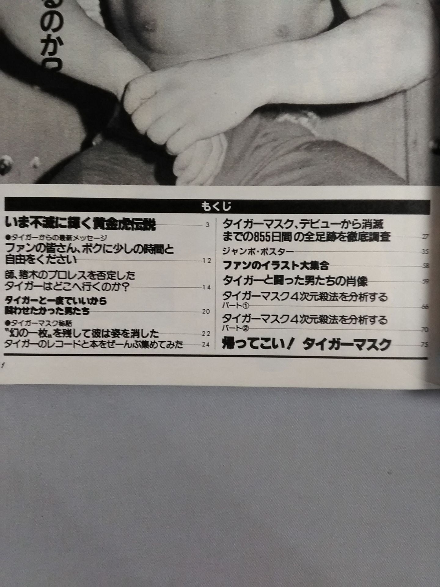 Pro Wrestling  Album 38 Tiger Mask Forever
