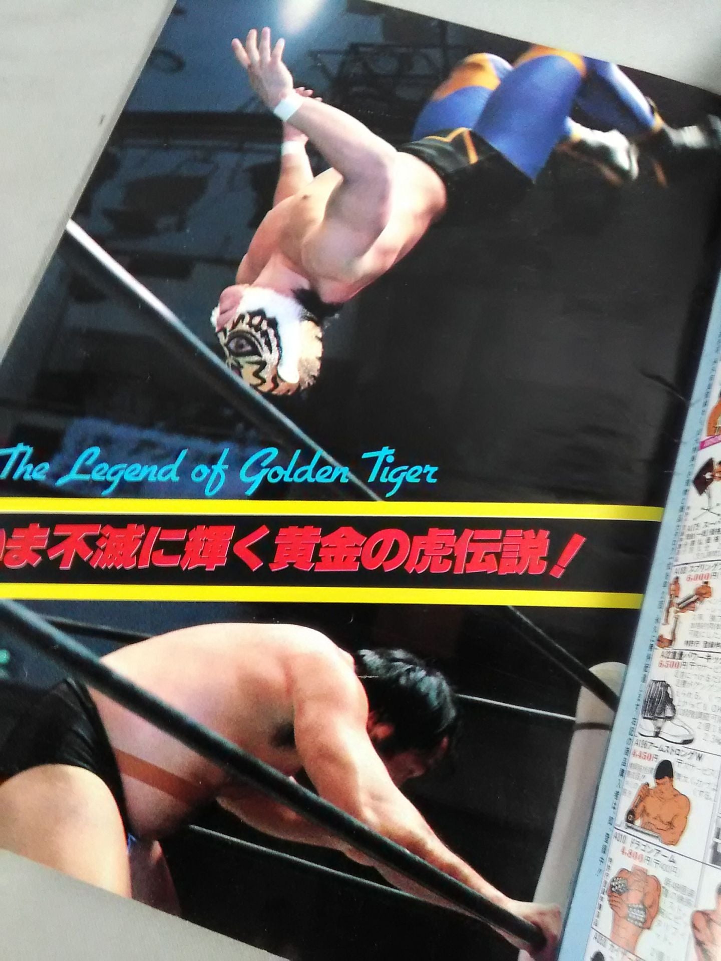 Pro Wrestling  Album 38 Tiger Mask Forever