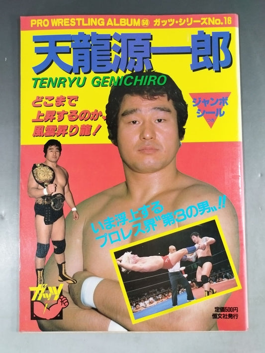 Pro Wrestling  album 50 TenryuGenichiro 