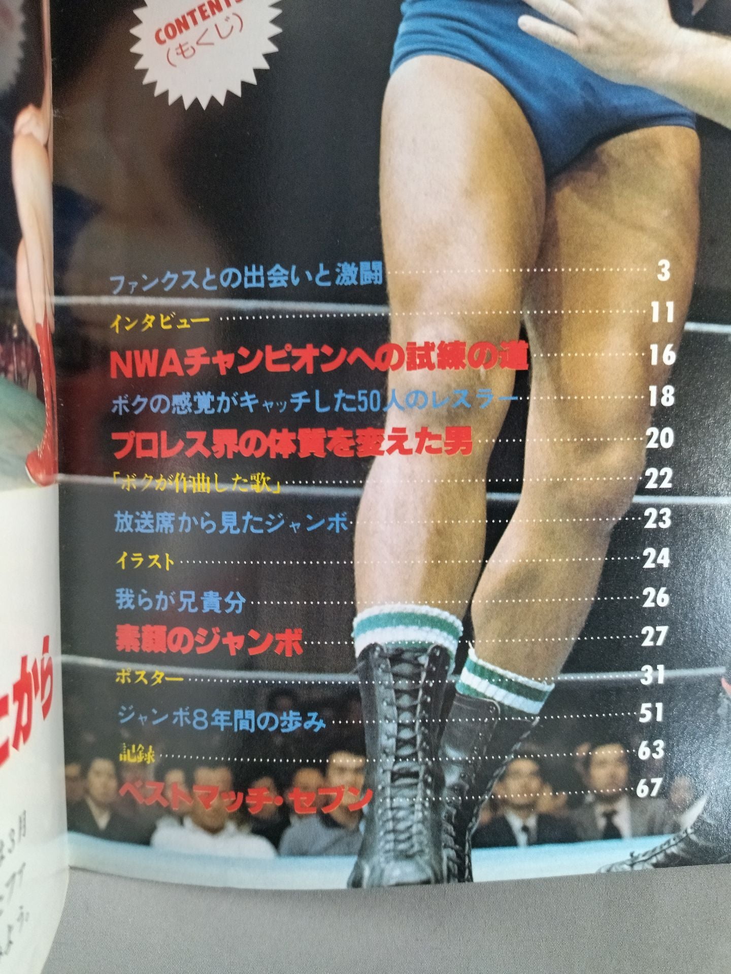 Pro Wrestling  Album 10 Jumbo Tsuruta