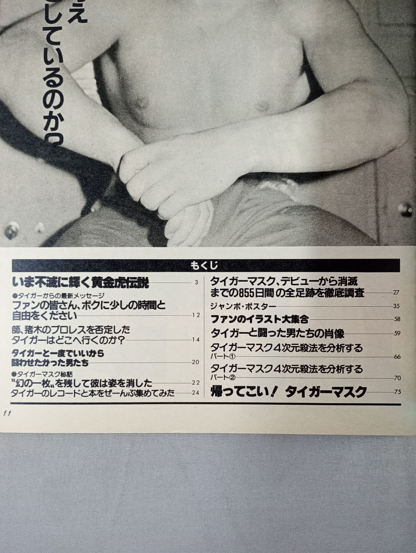 Pro Wrestling  Album 38 Tiger Mask Forever