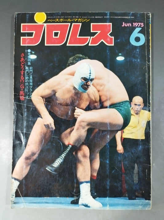 Pro Wrestling  Monthly 1975-06
