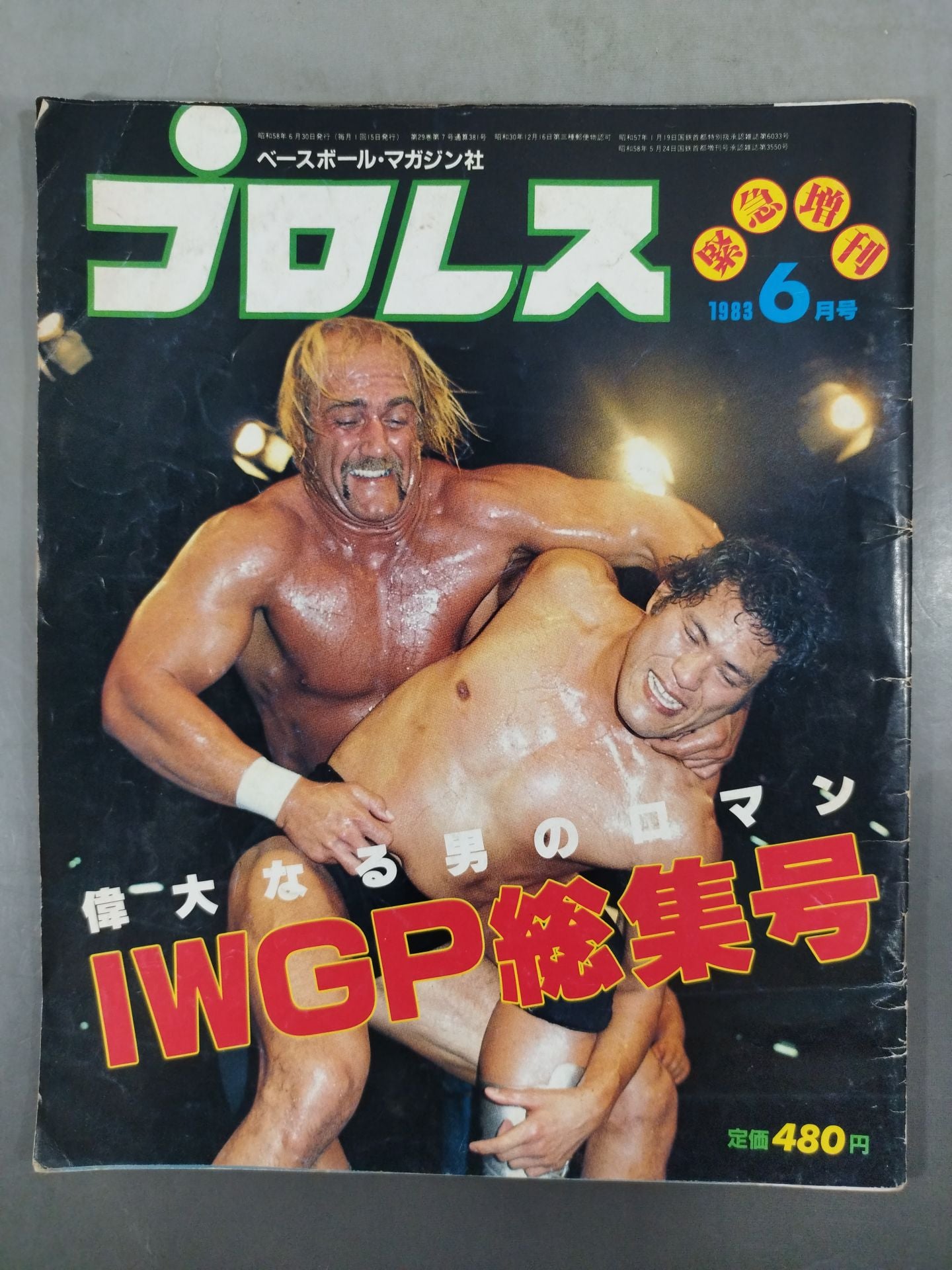 Pro Wrestling  Monthly June 1983 Special Issue