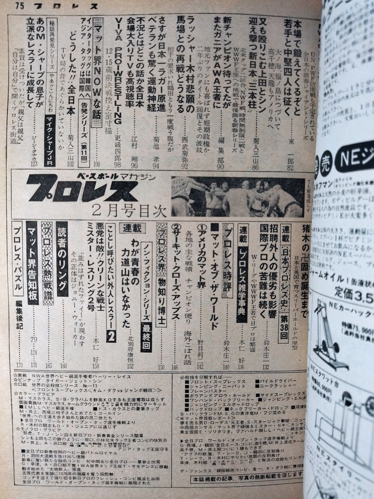Pro Wrestling  1978.02