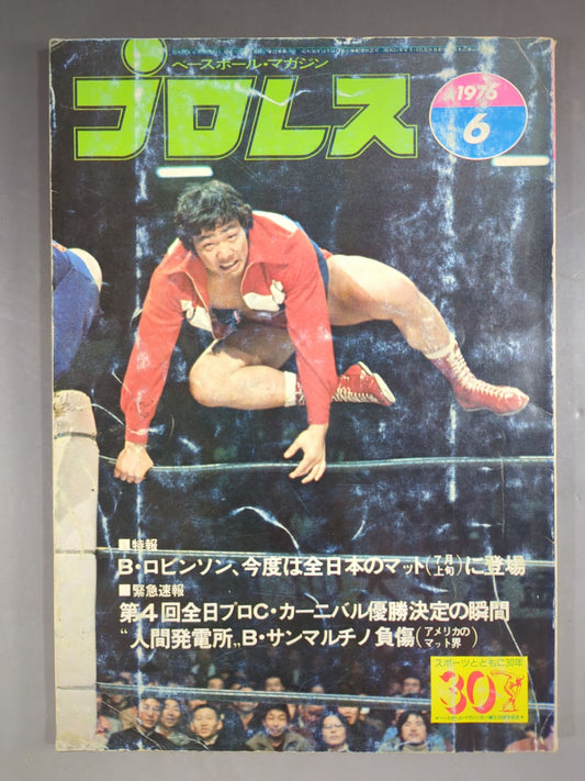 Pro Wrestling  Monthly 1976-06