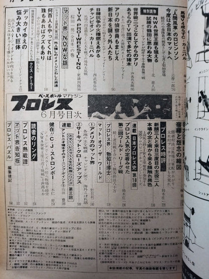 Pro Wrestling  Monthly 1976-06