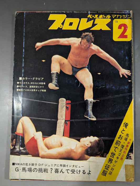 Pro Wrestling  Monthly February 1973