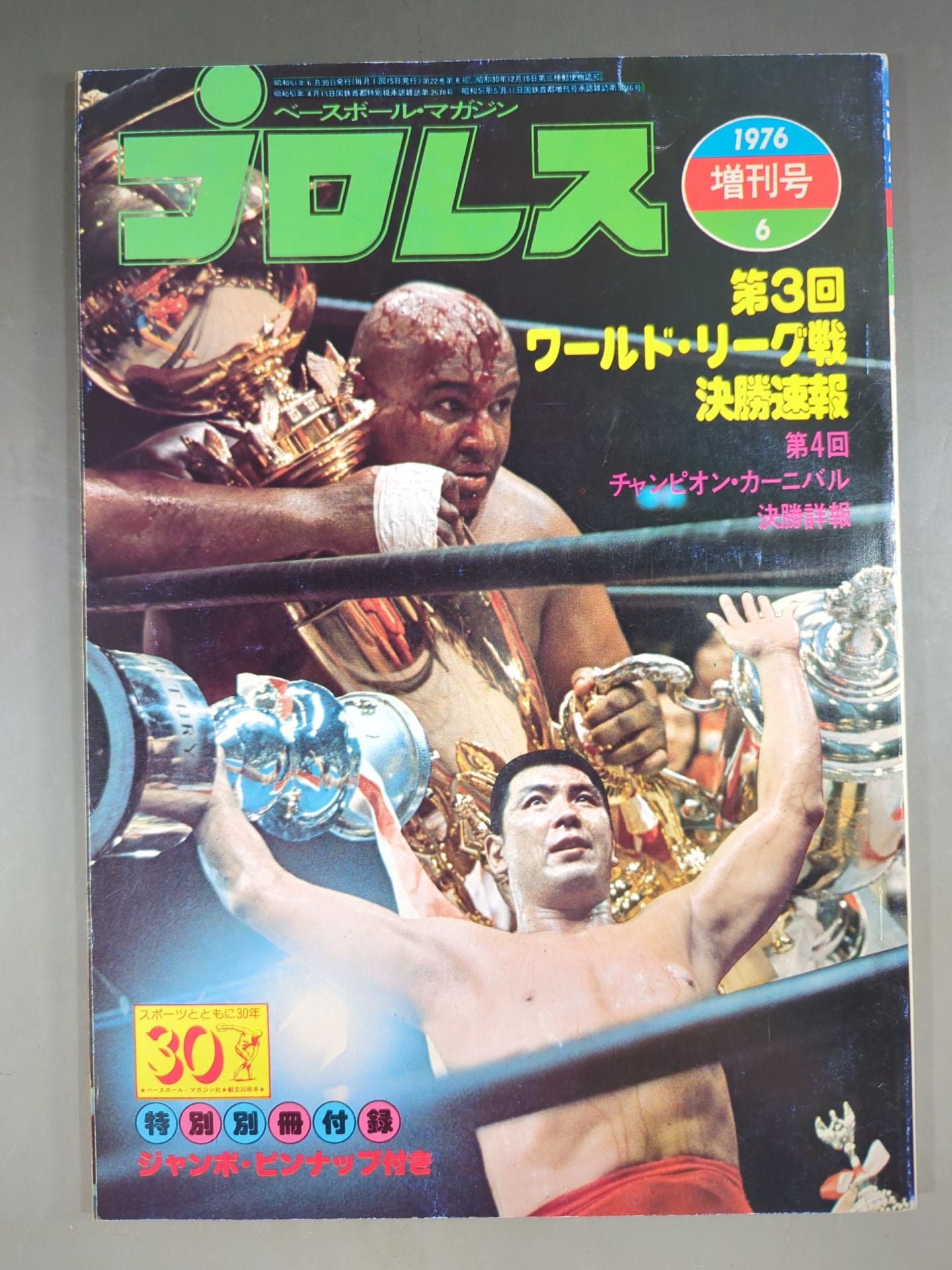 Pro Wrestling  Monthly June 1976 Special Issue