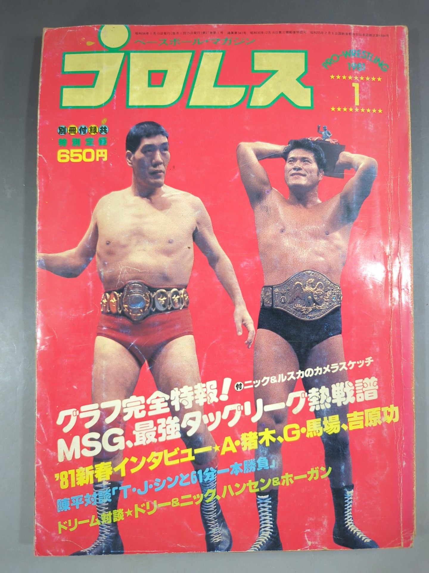 Monthly Pro Wrestling January 1981