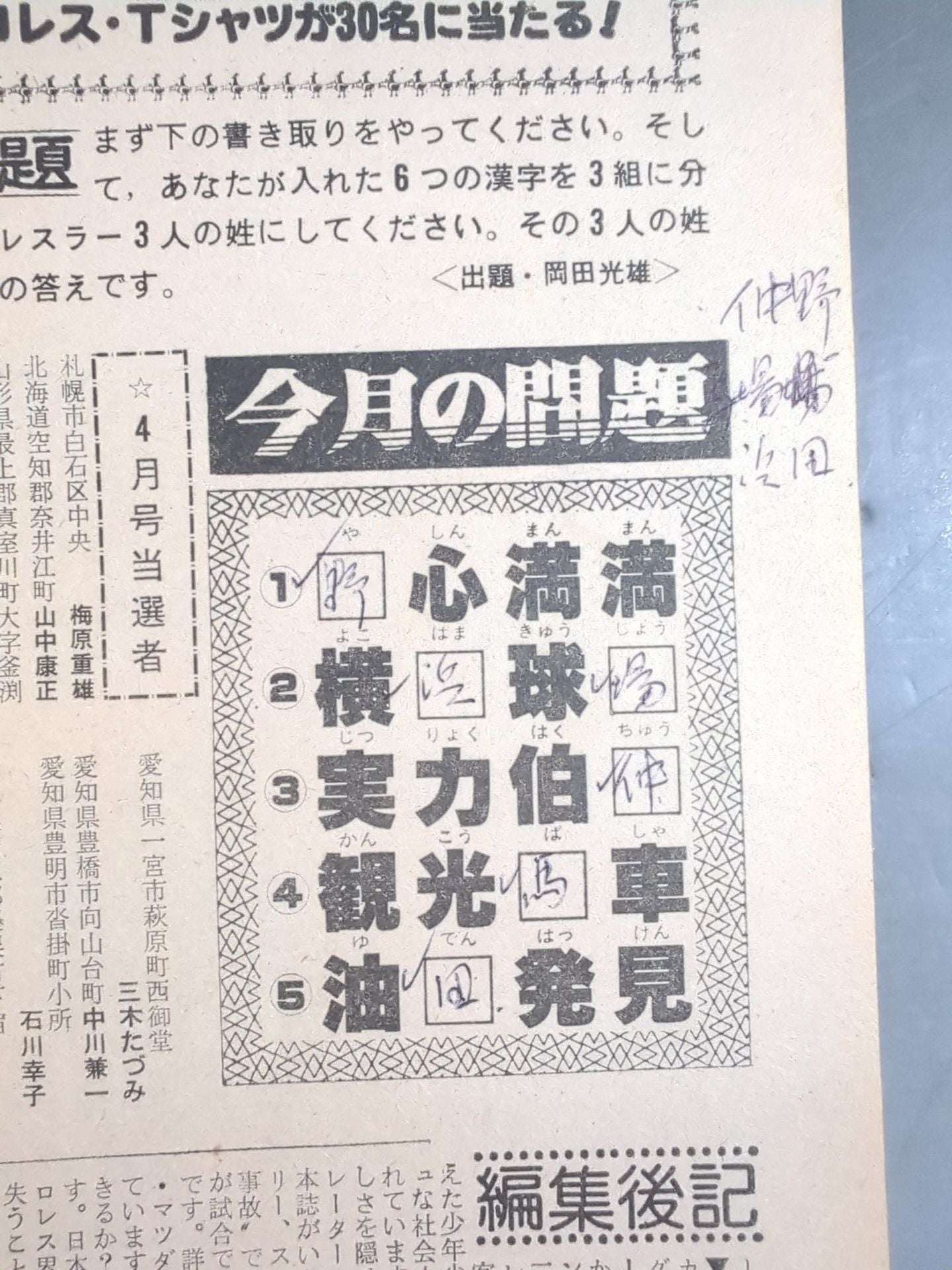 Pro Wrestling  Monthly May 1981
