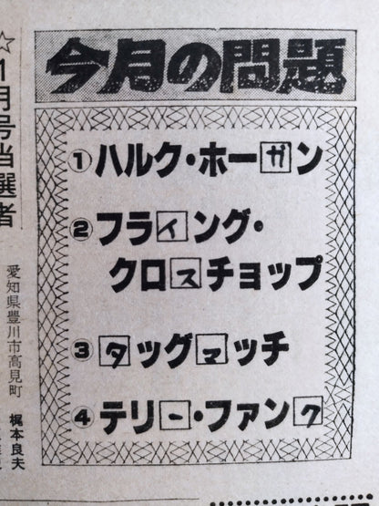 Monthly Pro Wrestling February 1982 issue