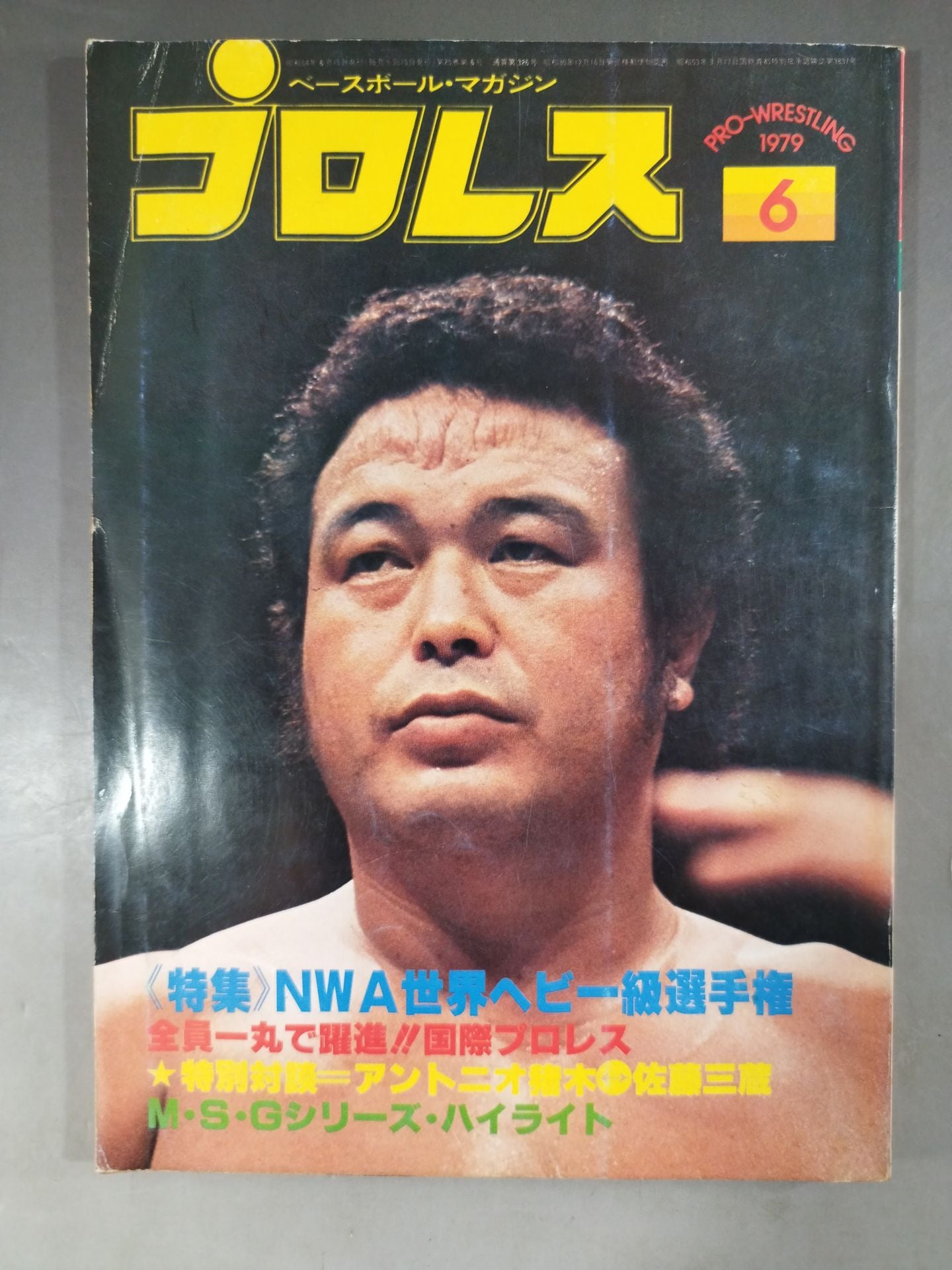 Pro Wrestling  Monthly 1979-06