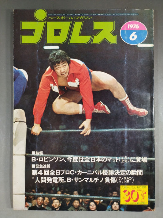 Pro Wrestling  Monthly 1976-06