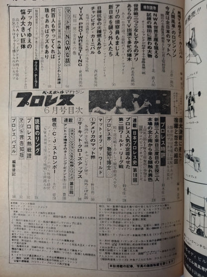 Pro Wrestling  Monthly 1976-06
