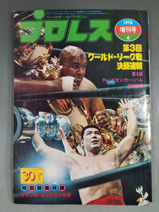 Pro Wrestling  1976/06