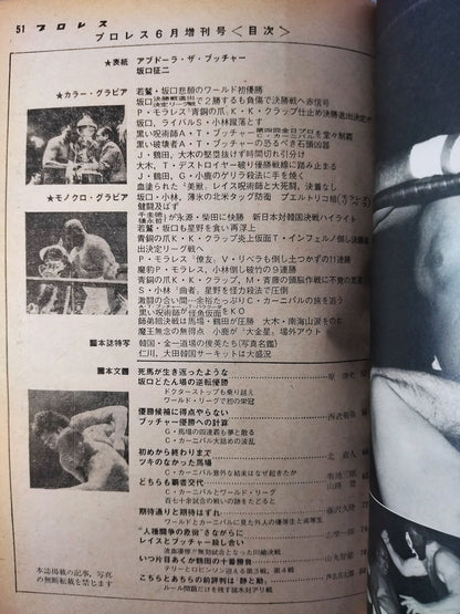 Pro Wrestling  1976/06