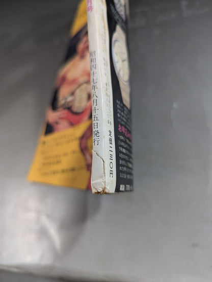 Pro Wrestling  1972-08