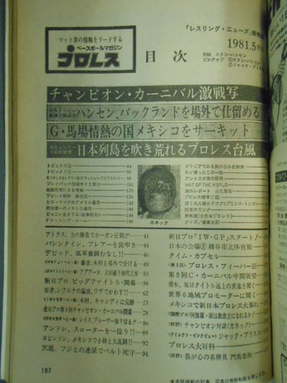 月刊プロレス 1981年5月号