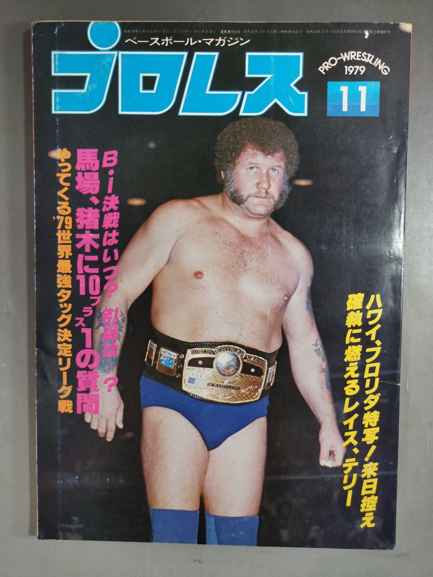Pro Wrestling  Monthly November 1979