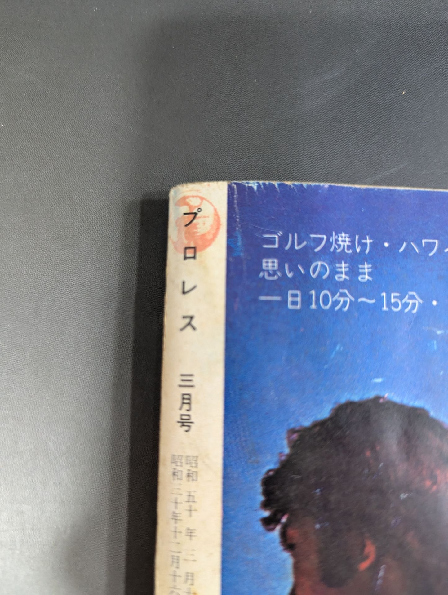 Pro Wrestling  Monthly 1975-03