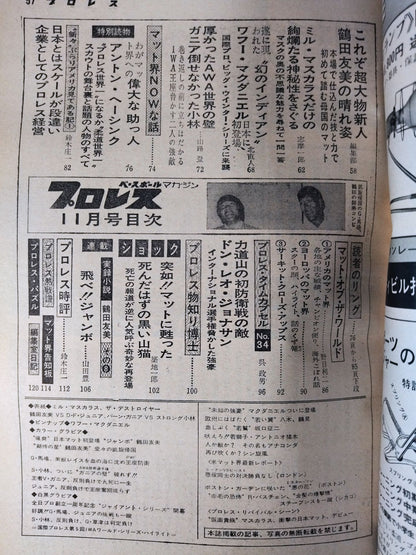 Pro Wrestling  Monthly, November 1973