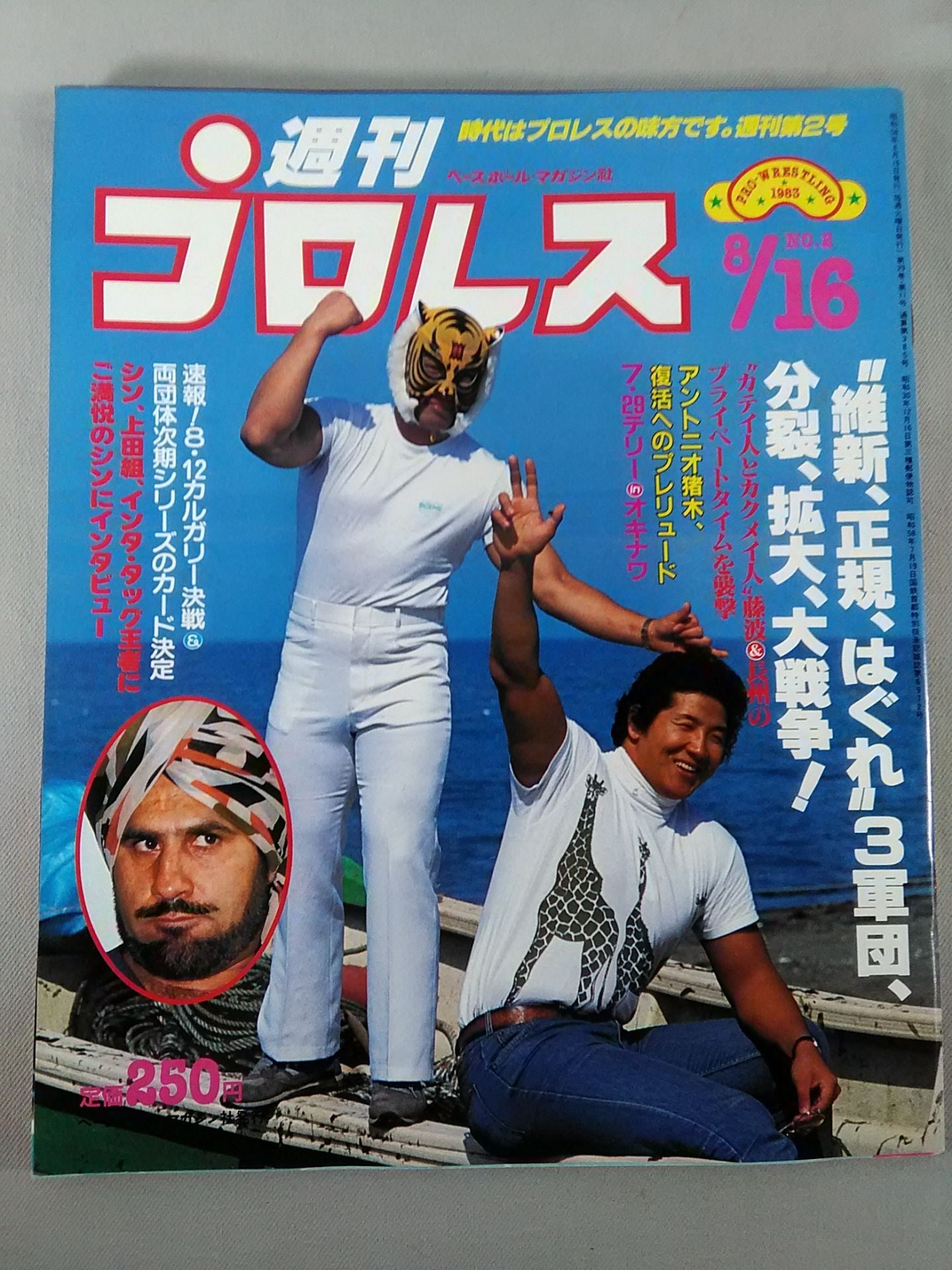 Weekly Pro Wrestling 2