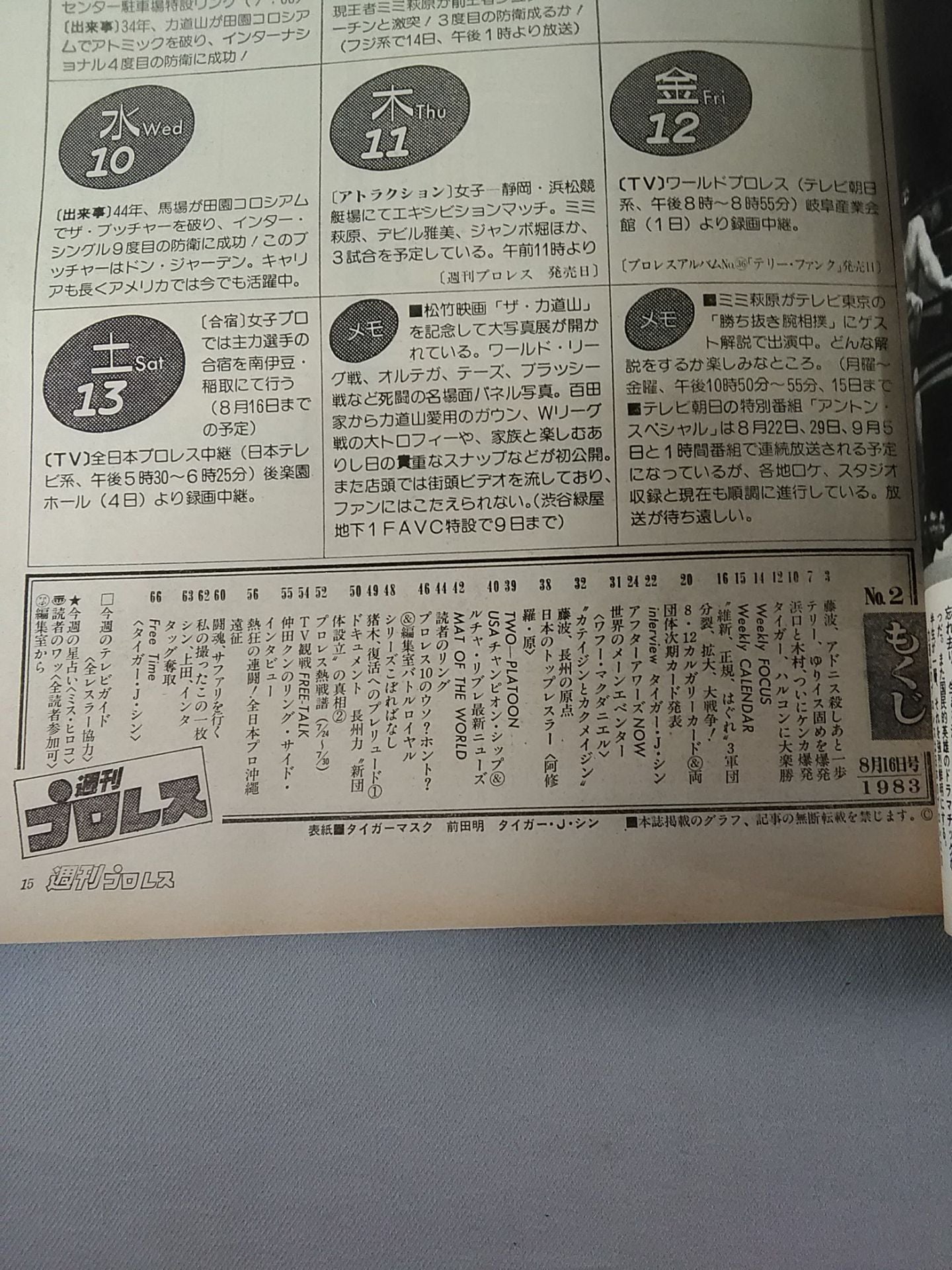 Weekly Pro Wrestling 2